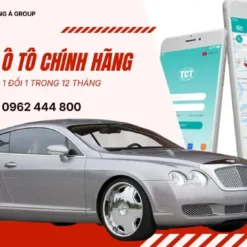 Dịch Vụ Lắp Đặt Định Vị Xe Ô Tô Chính Hãng Tận Nơi Tại Tây Ninh
