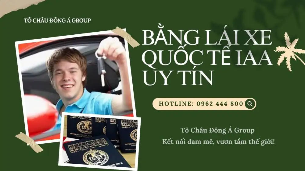 ĐỔI BẰNG LÁI XE QUỐC TẾ IAA (4)
