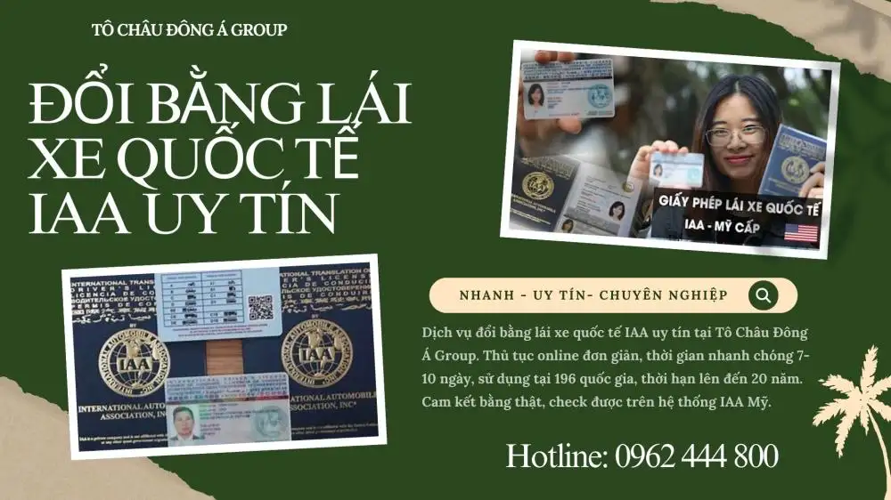 ĐỔI BẰNG LÁI XE QUỐC TẾ IAA uy tín (2)