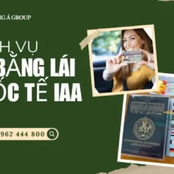 DỊCH VỤ ĐỔI BẰNG LÁI XE QUỐC TẾ IAA TẠI NGHỆ AN – UY TÍN, NHANH CHÓNG