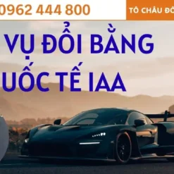 Dịch Vụ Đổi Bằng Lái Xe Quốc Tế IAA Tại Thanh Hóa: Uy Tín, Lấy Nhanh, Thủ Tục Online
