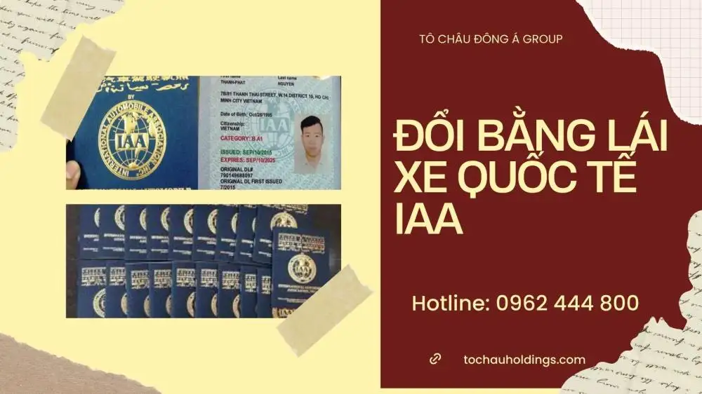 bằng lái iaa (1)