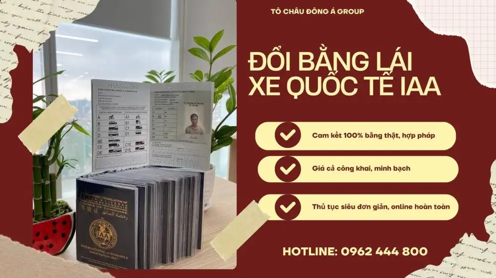 bằng lái iaa (2)