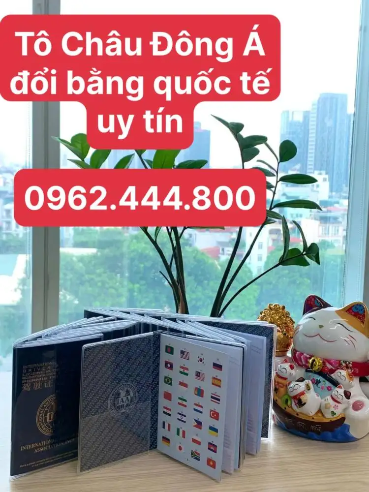 bằng-lái-quốc-tế-4