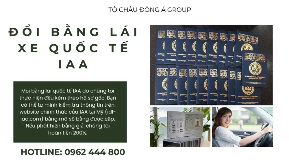 đổi-bằng-lái-xe-quốc-tế-iaa-uy-tin(1)
