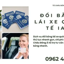 Đổi Bằng Lái Xe Quốc Tế IAA Tại Khánh Hòa: Thủ Tục Online, Lấy Nhanh 7 Ngày