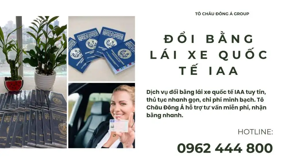 đổi-bằng-lái-xe-quốc-tế-iaa-uy-tin(2)