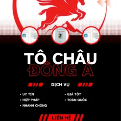 CẤP THẺ AN TOÀN LAO ĐỘNG TẠI GIA LAI