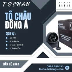 LẮP CAMERA HÀNH TRÌNH NGHỊ ĐỊNH 10 TẠI LÀO CAI