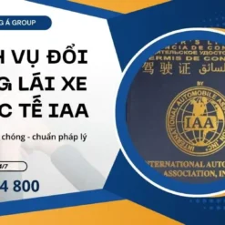 Dịch Vụ Đổi Bằng Lái Xe Quốc Tế IAA Tại Đà Nẵng Uy Tín Số 1