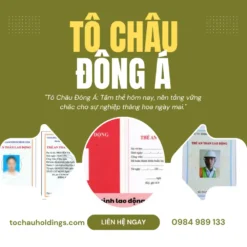 CẤP THẺ AN TOÀN LAO ĐỘNG TẠI HÀ TĨNH