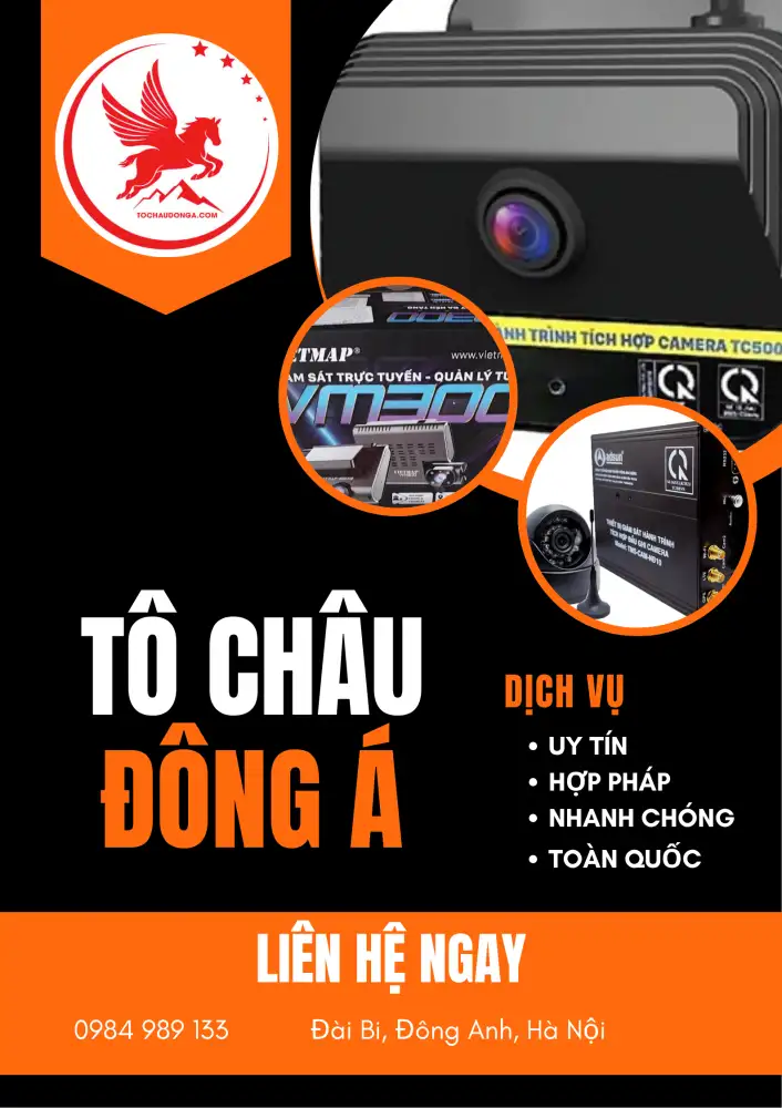 đại diện ld