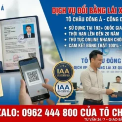 Dịch Vụ Đổi Bằng Lái Xe Quốc Tế IAA Tại Thái Nguyên: Nhanh Chóng, Uy Tín, Thủ Tục Online
