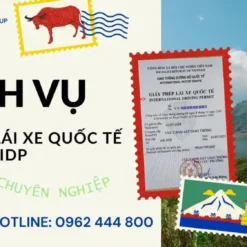 Dịch Vụ Đổi Bằng Lái Xe Quốc Tế IDP Tại Hồ Chí Minh Uy Tín Số 1 – Tô Châu Đông Á