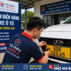 Dịch Vụ Đổi Biển Số Vàng Tại Đồng Nai Trọn Gói - Uy Tín, Lấy Ngay