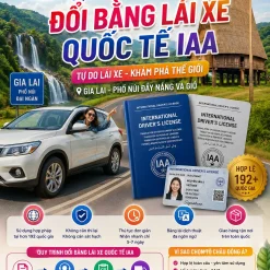 ĐỔI BẰNG LÁI XE QUỐC TẾ IAA UY TÍN Ở GIA LAI