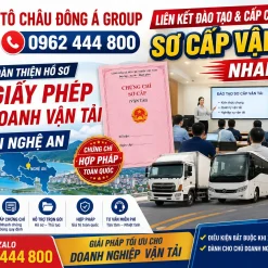 Liên Kết Đào Tạo Và Cấp Chứng Chỉ Sơ Cấp Vận Tải Nhanh Tại Nghệ An