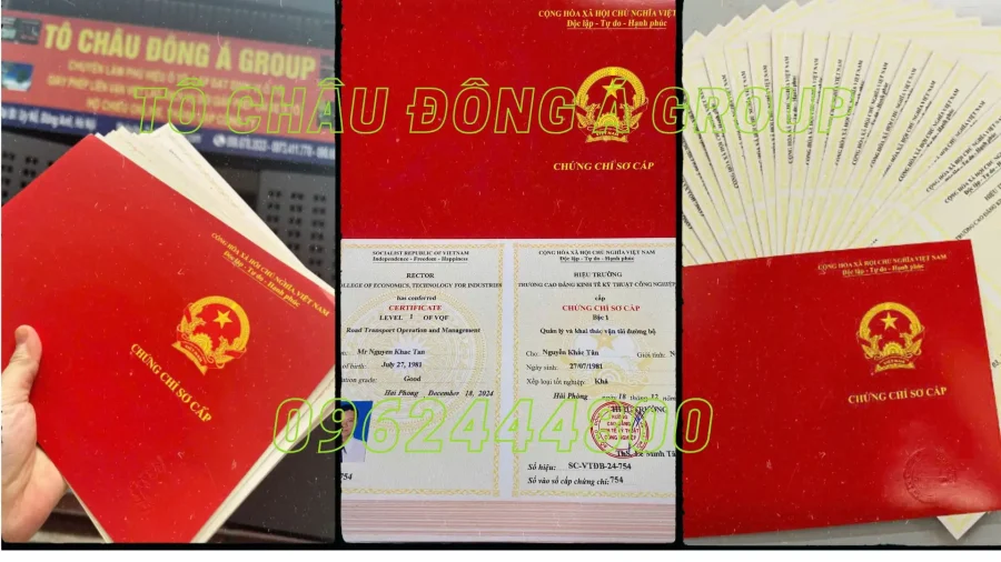 Liên Kết Đào Tạo Và Cấp Chứng Chỉ Sơ Cấp Vận Tải Nhanh Tại Nghệ An