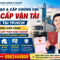 Đào Tạo và Cấp Chứng Chỉ Sơ Cấp Vận Tải Tại Hồ Chí Minh