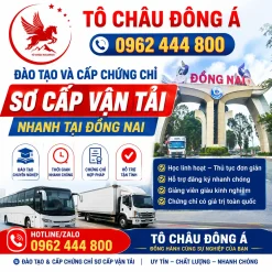 Đào Tạo Và Cấp Chứng Chỉ Sơ Cấp Vận Tải Nhanh Tại Đồng Nai